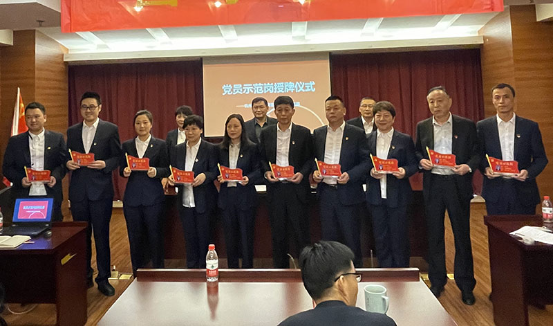 党员树模岗授牌.jpg