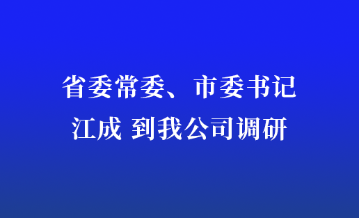 省委常委、市委书记江成到我公司调研